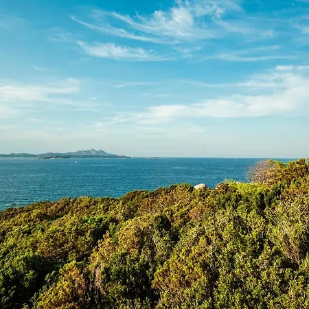 Trilo 6 바야사드리니아