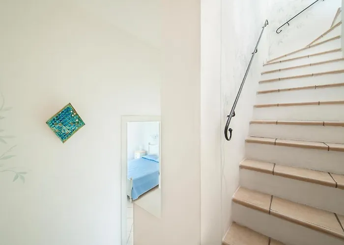 Trilo 6 巴哈撒丁岛